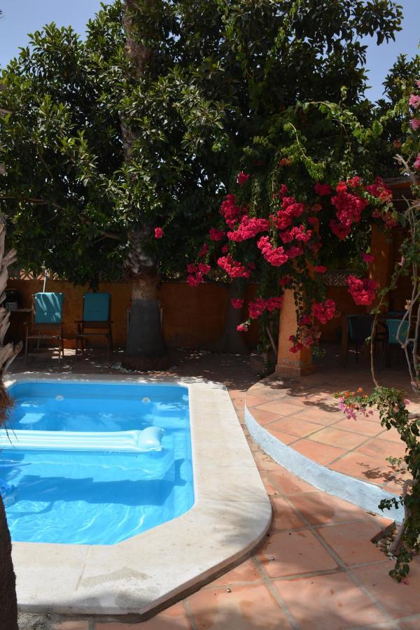 Apartamento Con Jacuzzi Y Terraza Con Opcion A Piscina Privada Almunecar Ngoại thất bức ảnh